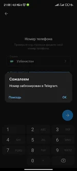 1785093878530.webp